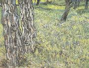 Vincent Van Gogh Pine Trees and Dandelions in the Garden of Saint-Paul Hospital (nn04) oil painting reproduction